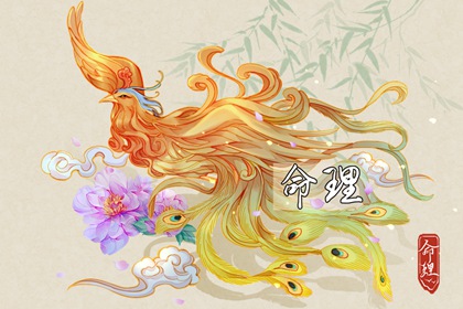 择吉老黄历,择吉黄历每日宜忌,开业择吉日